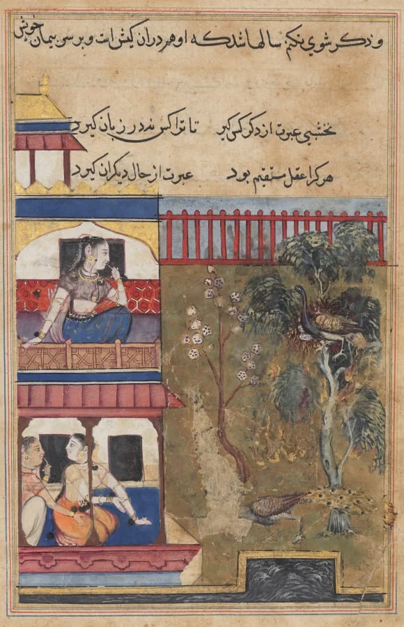 The queen of Rum watches the peahen prefer to burn rather than abandon her eggs while the peacock flees the nest, from a Tuti-nama (Tales of a Parrot): Thirty-ninth Night, by Unknown, unspecified, 1560