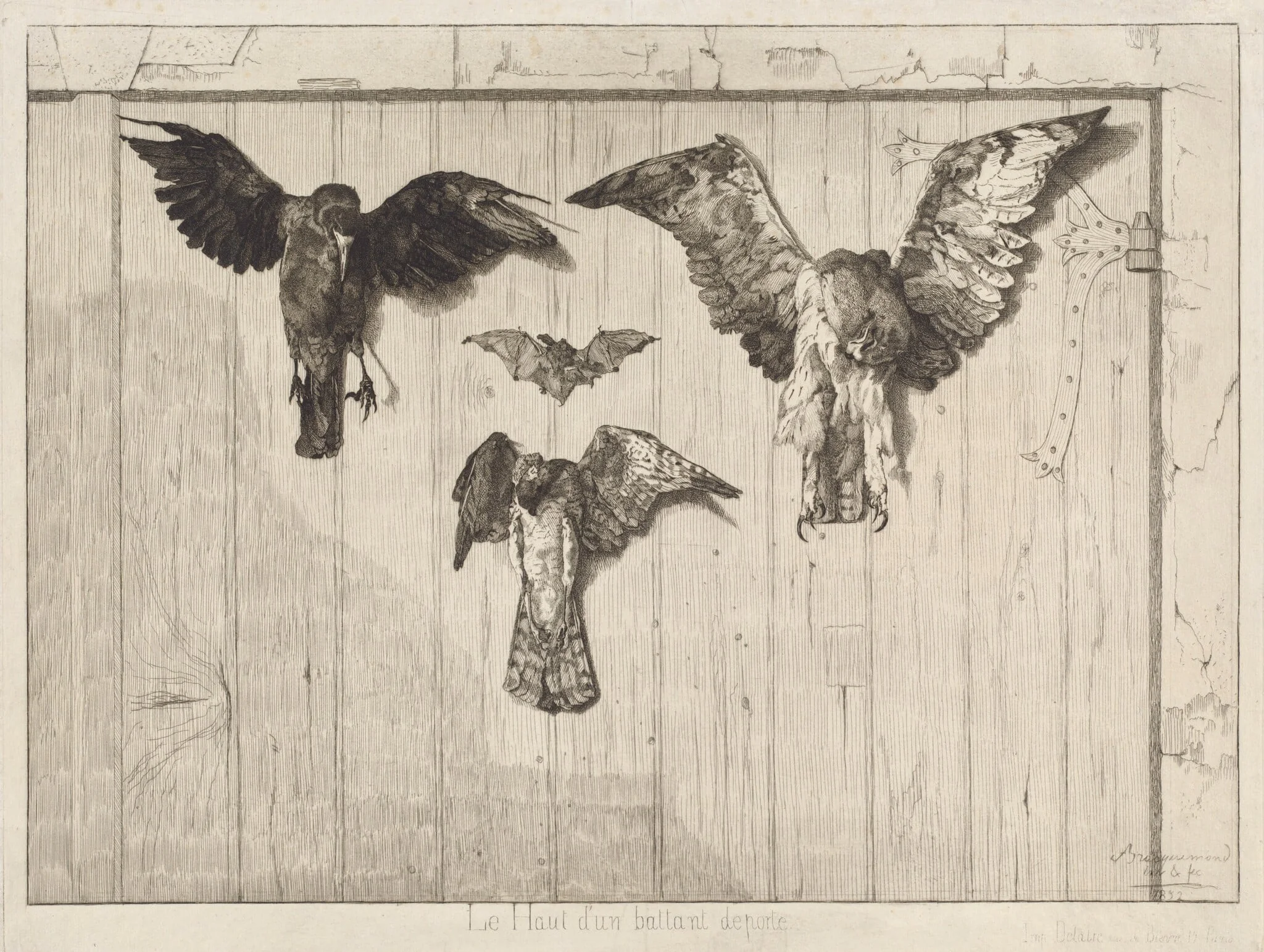 Le haut d'un battant de porte (Birds Nailed to a Barn Door), by Félix Bracquemond, ink, 1852