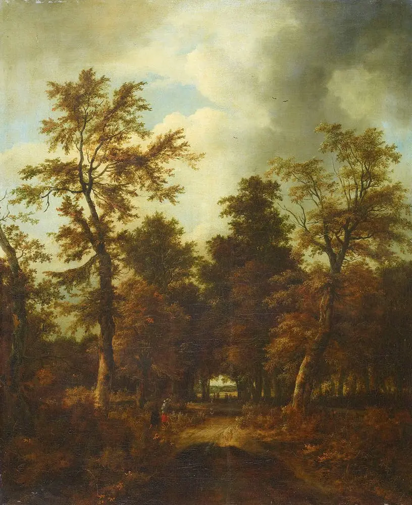 A road through a wood