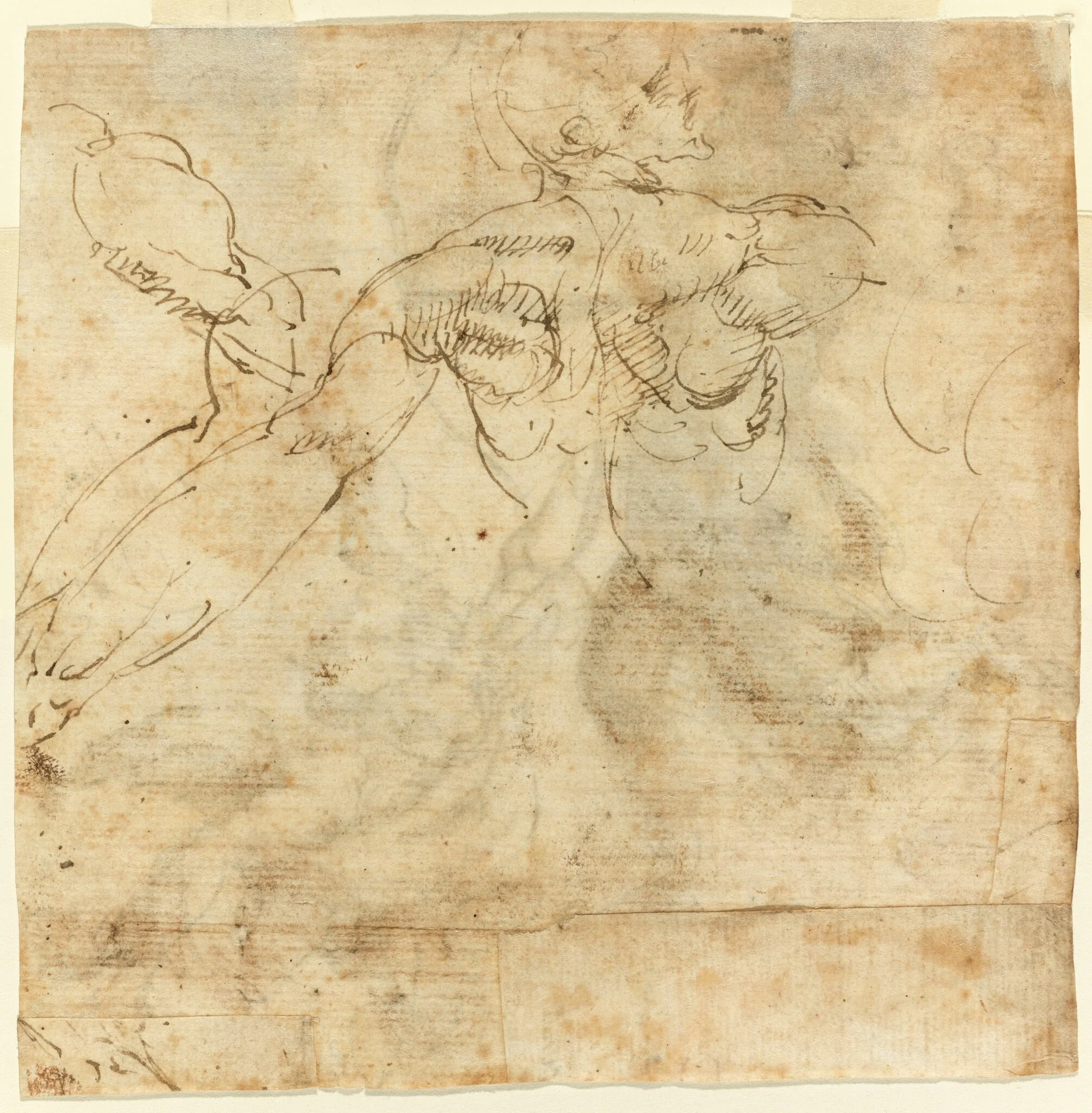 Study of a Back, by Giulio Cesare Procaccini, ink, 1612