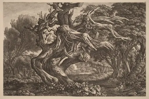 A Dead Oak Tree