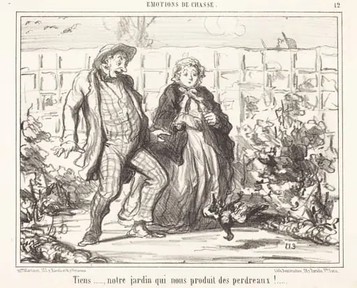 Tiens... notre jardin... produit des perdreaux!...
