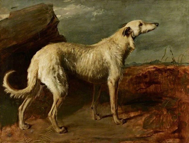 Braan, a Celebrated Scottish Deerhound, by Thomas Duncan, oil, 1836