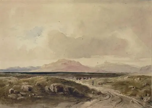 Traeth Mawr