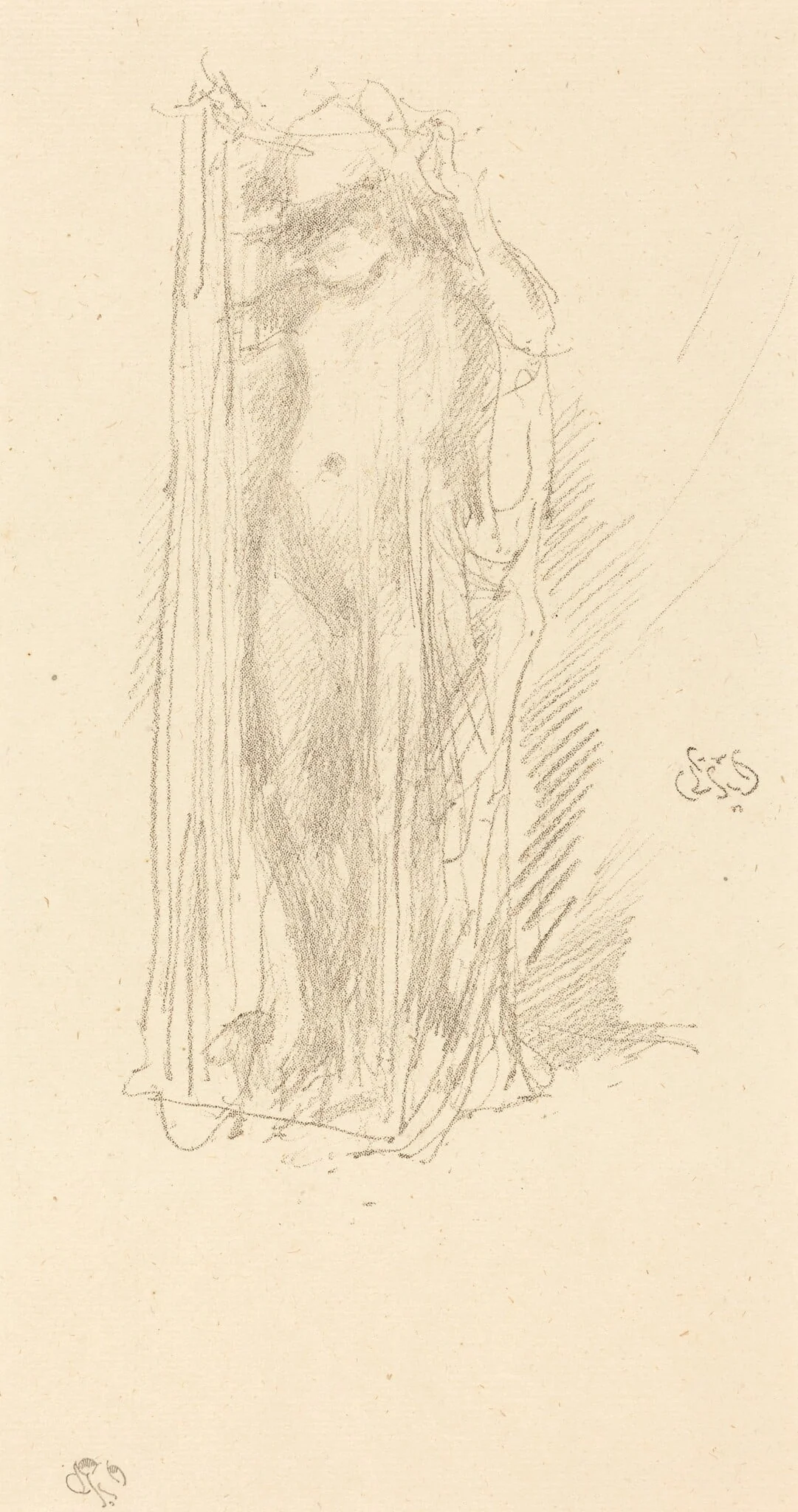 Model Draping, by James McNeill Whistler, ink, 1889