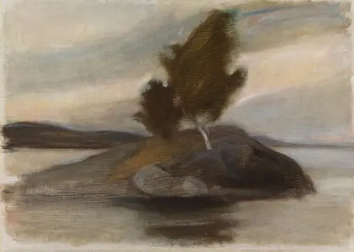 Saari