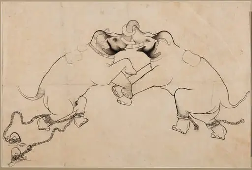 Two Elephants in Combat