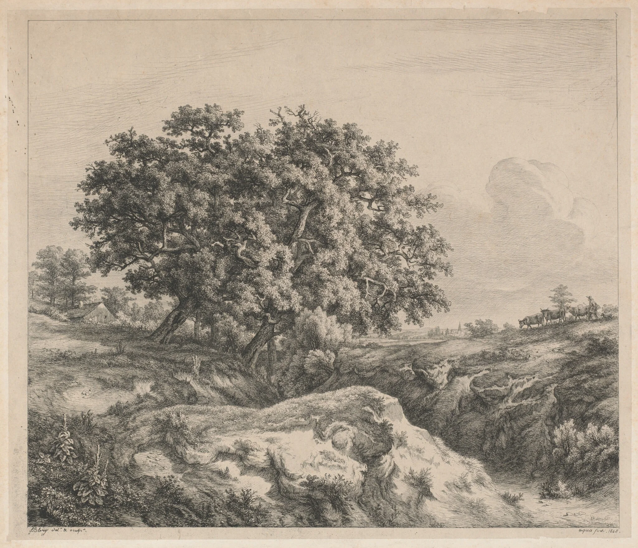 Le chêne au ravin (Oak Tree by a Ravine), by Eugène Bléry, ink, 1845