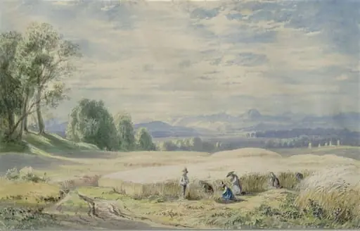 Cornfield and reapers