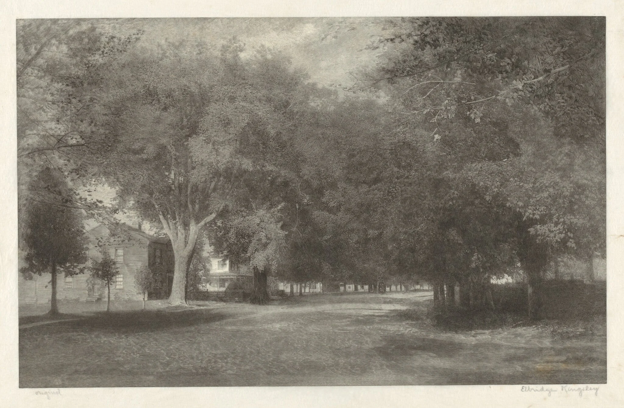 New England Elms, by Elbridge Kingsley, ink, 1890