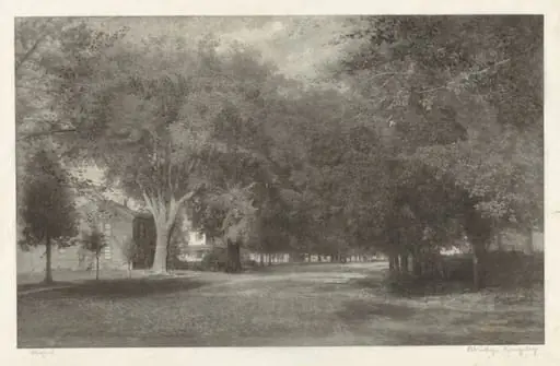New England Elms