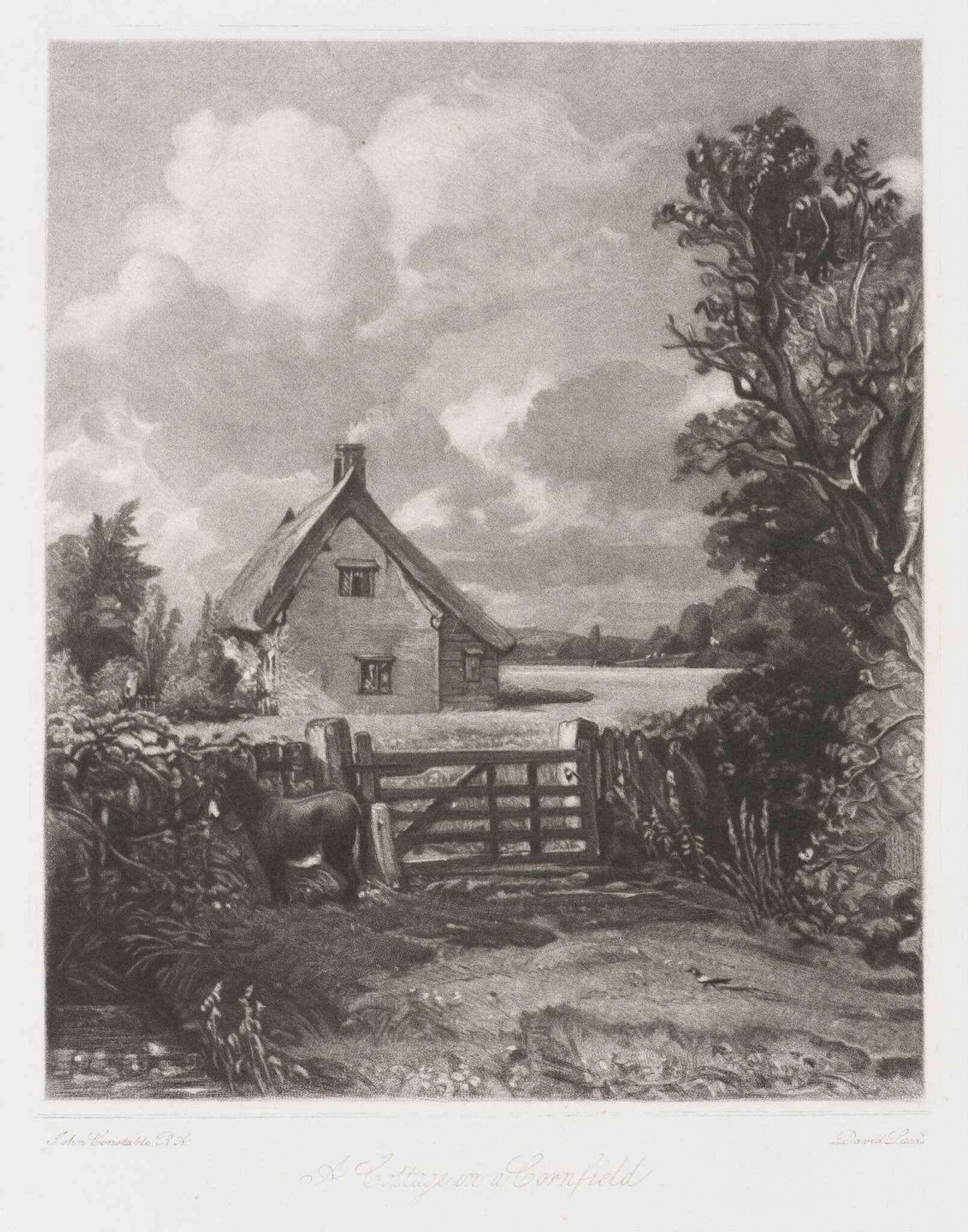 A Cottage in a Cornfield