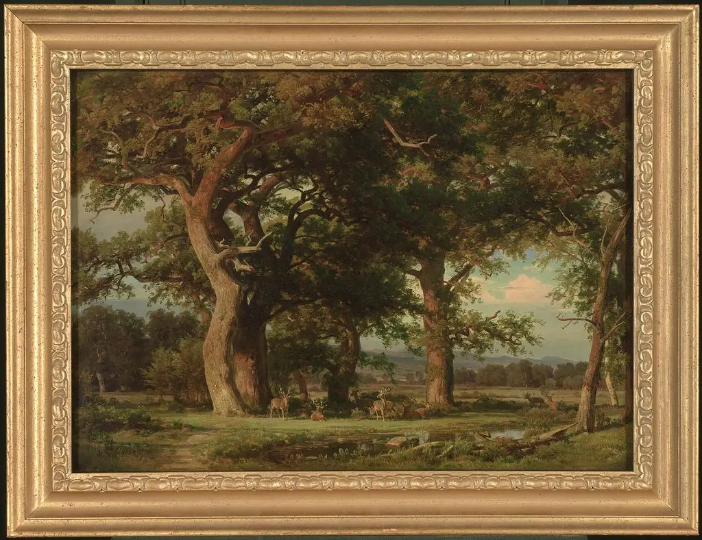 Outskirts of the Forest
