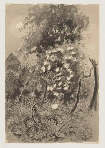 Moonlight on elderflower, the garden, Shoreham
