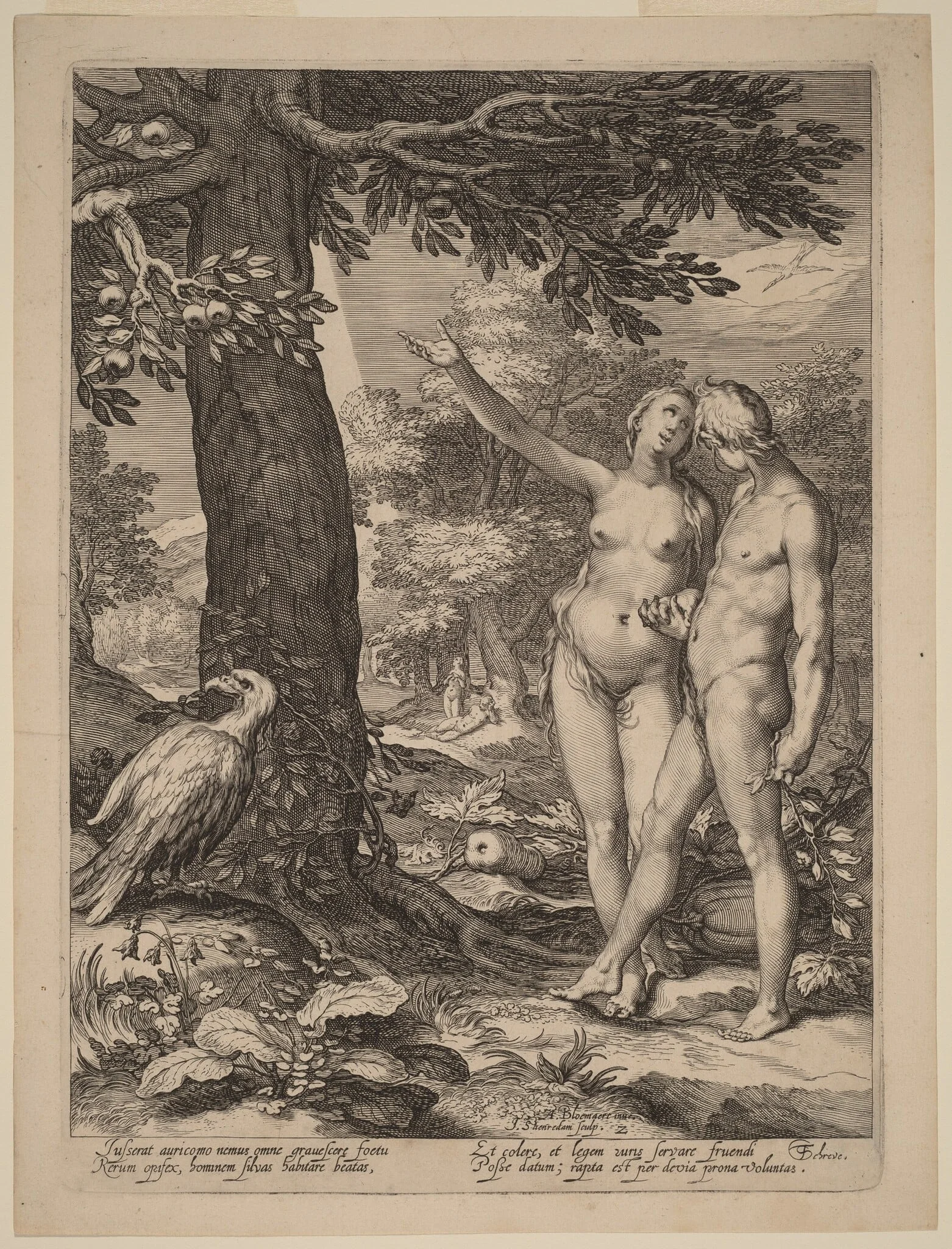 Adam and Eve before the Tree of Knowledge, by Jan Pietersz Saenredam, ink, 1604