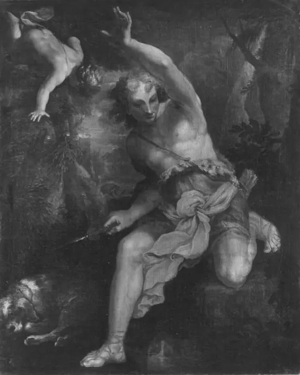 Narcissus