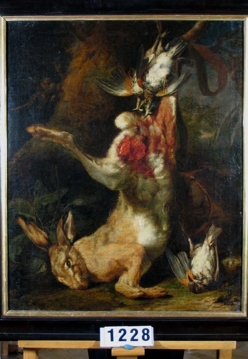 Vânat mort