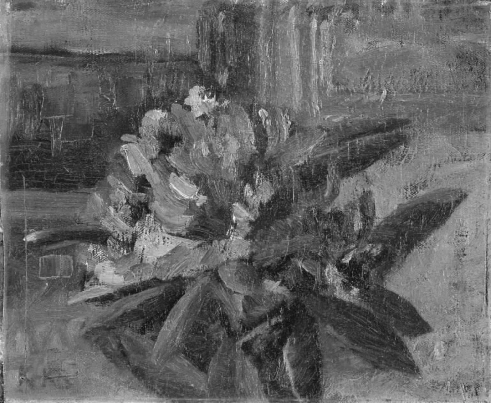 Rhododendron, by Unknown, 1909