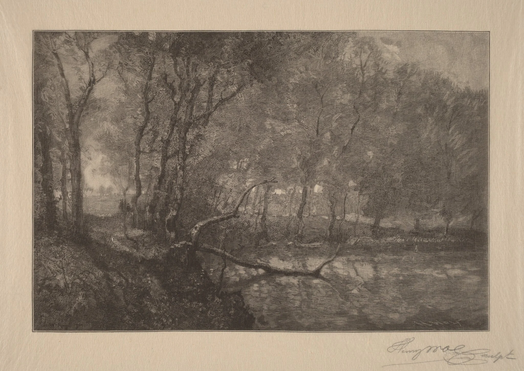The Mill Pond