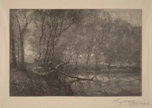 The Mill Pond