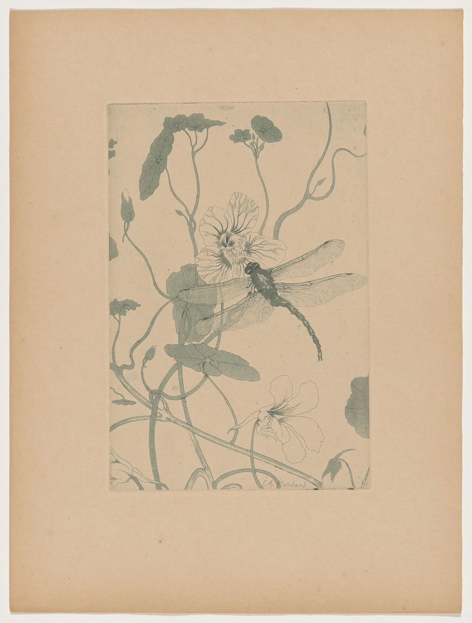 Fleurs (Flowers)
