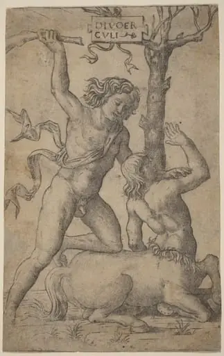 Hercules and Nessus