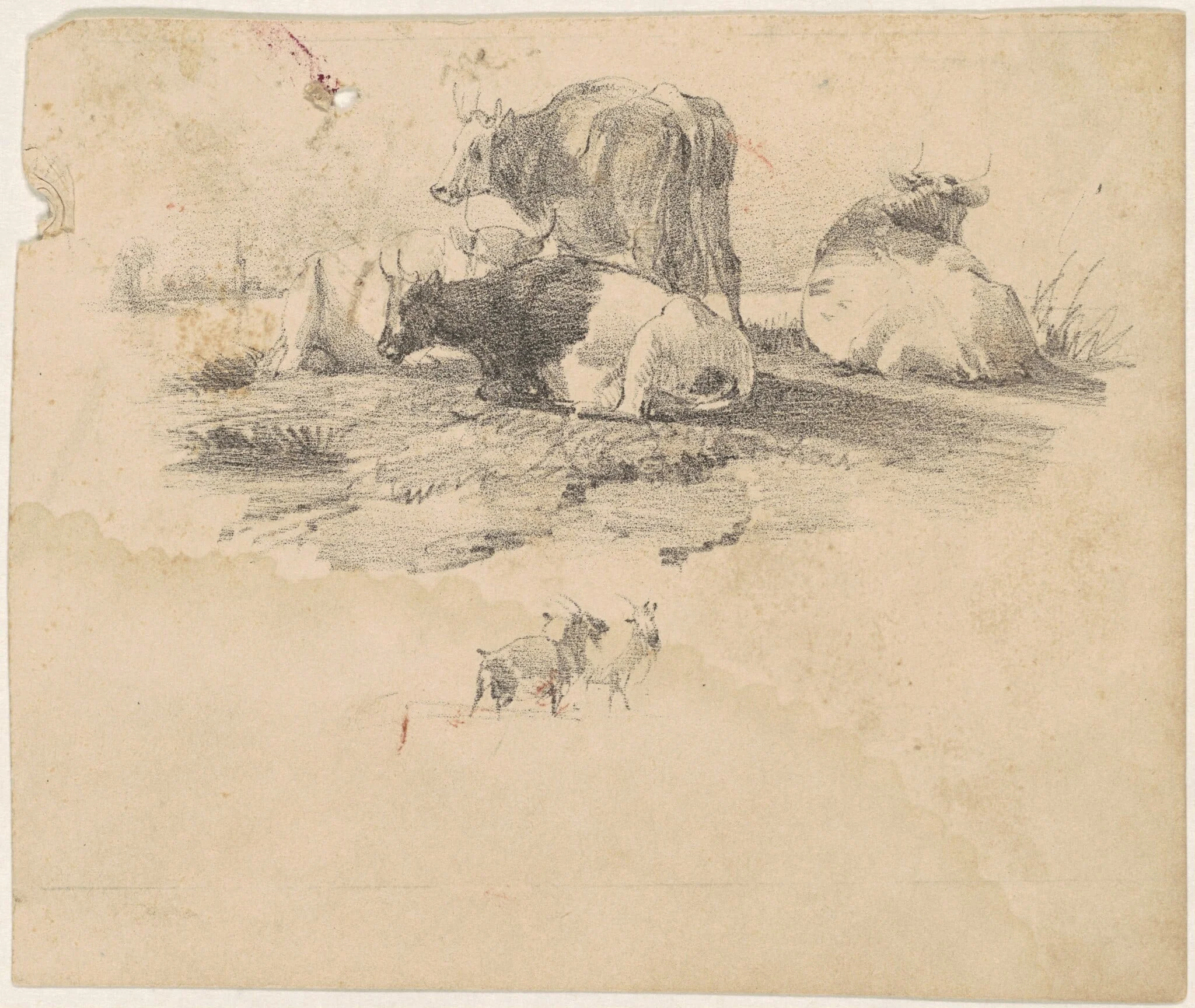 Herd of Cattle, by American 19th Century, ink, 1801