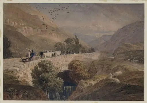 Landscape