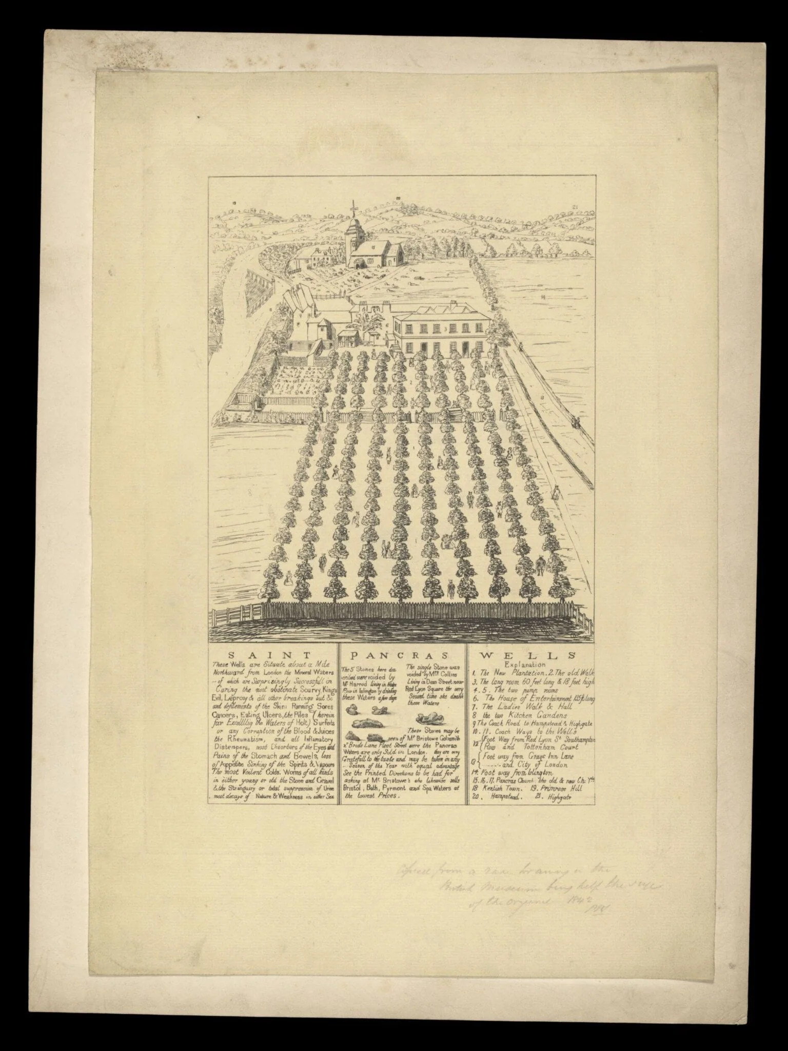 H Beard Print Collection