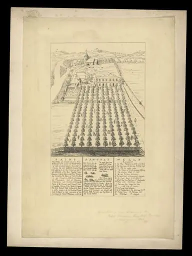 H Beard Print Collection