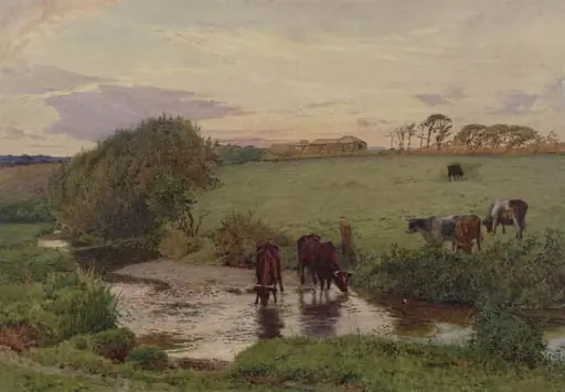 Near St. Mawgan, Cornwall