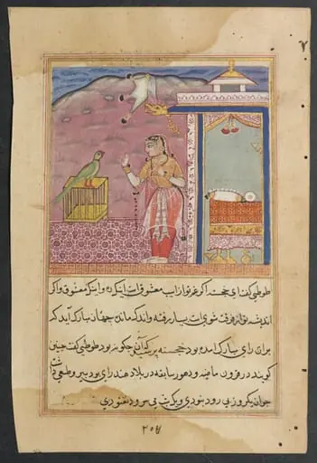 The parrot addresses Khujasta at the beginning of the forty-fourth night, from a Tuti-nama (Tales of a Parrot)