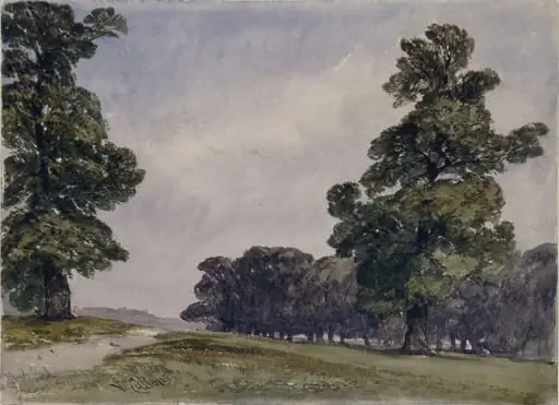 View in Hyde Park