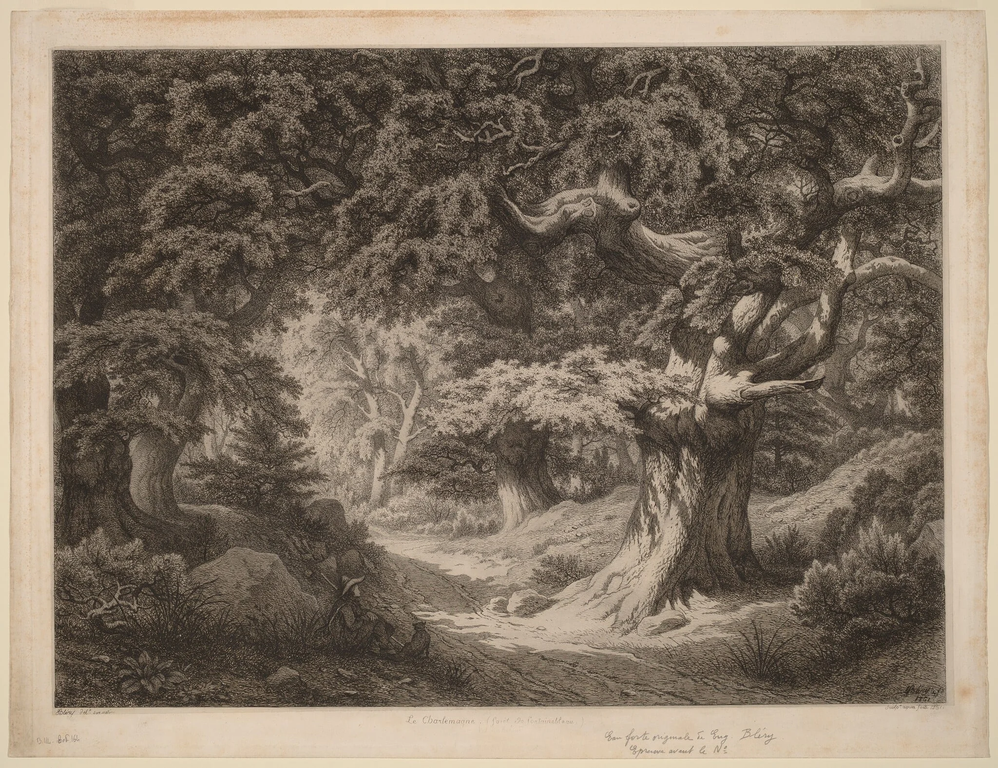 Le Charlemagne (forêt de fontainebleau)