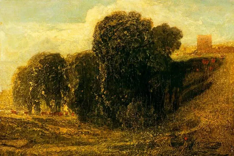 The Meadow