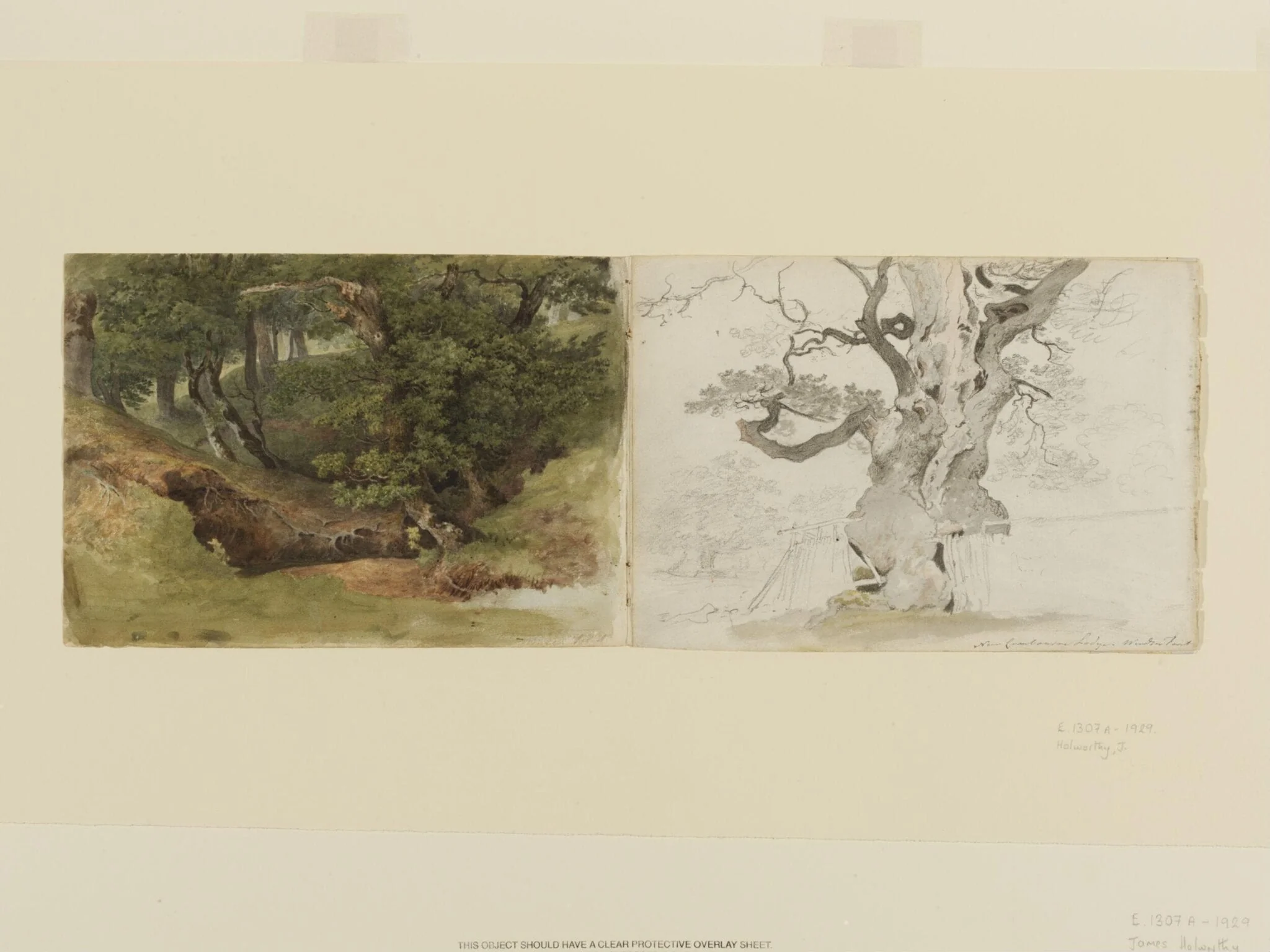 Windsor Forest, by James Holworthy, watercolor, 1806