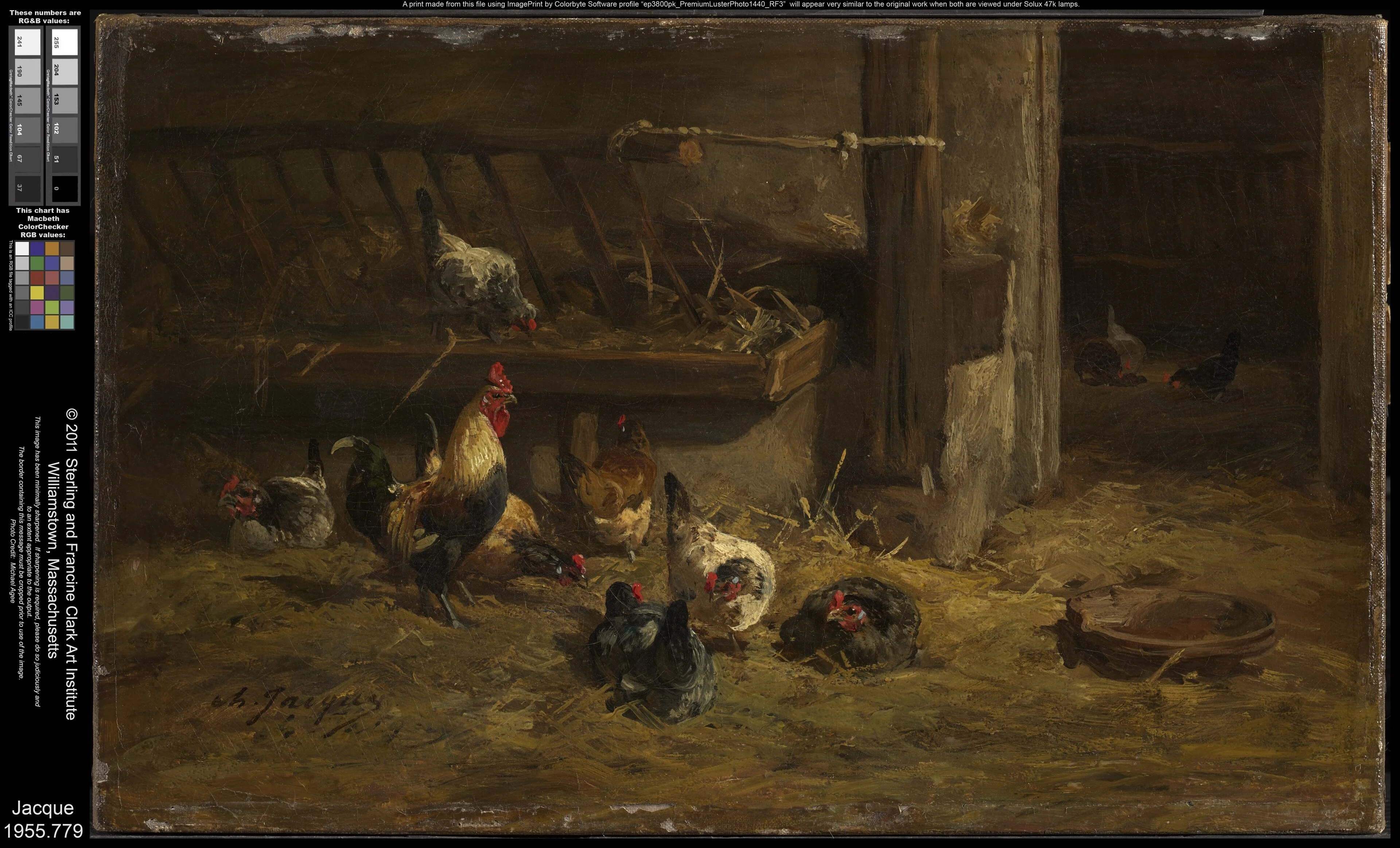 Poultry