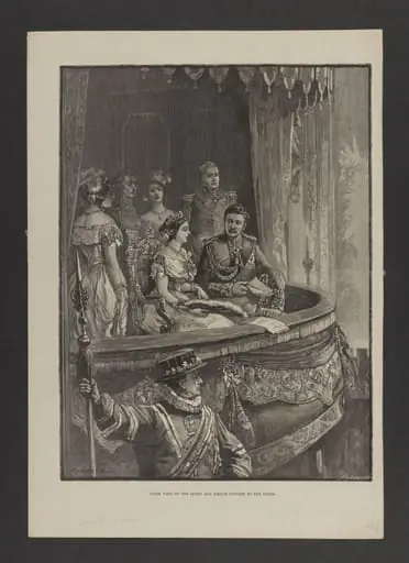 H Beard Print Collection
