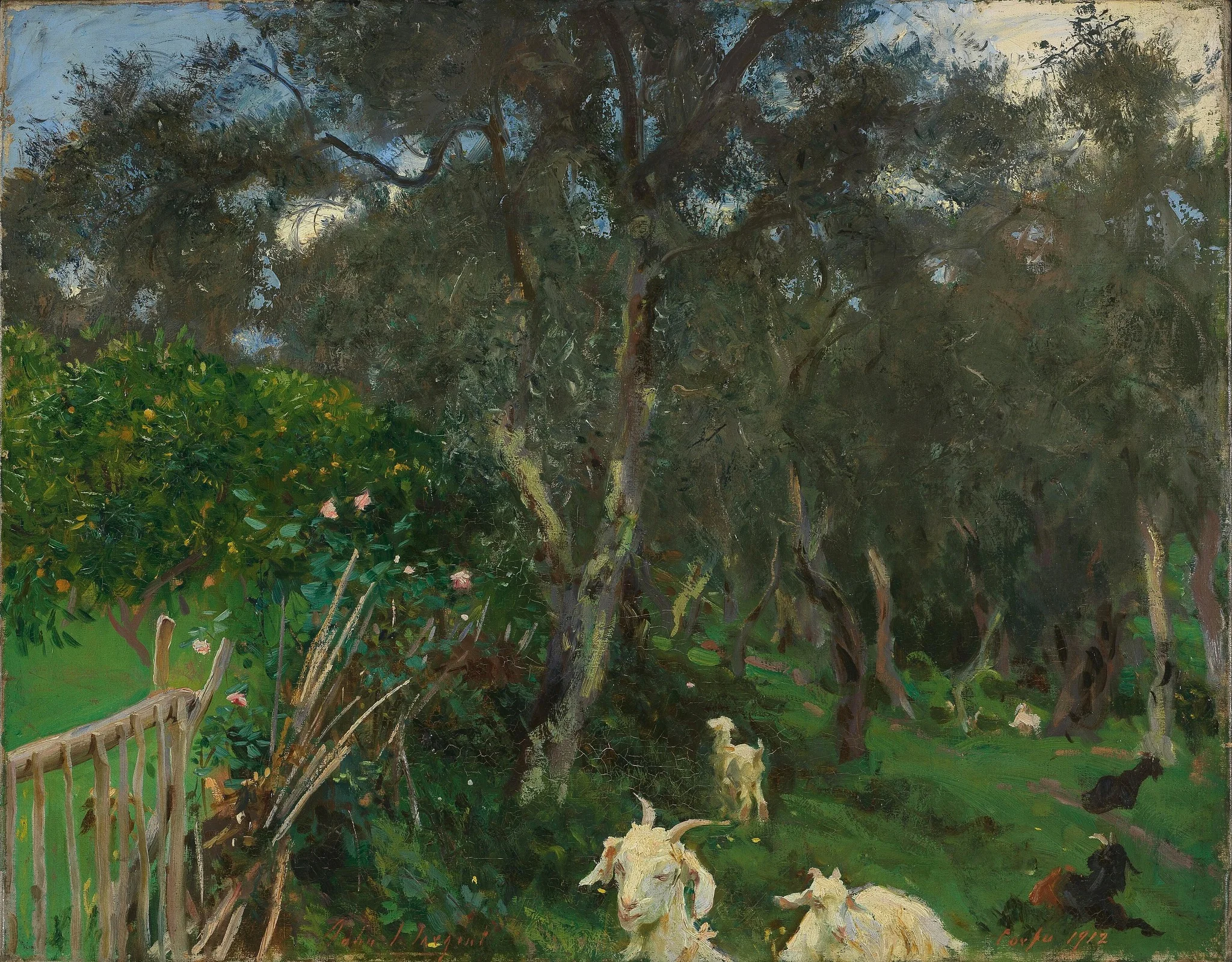 Olives in Corfu, by John Singer Sargent, oil, 1909