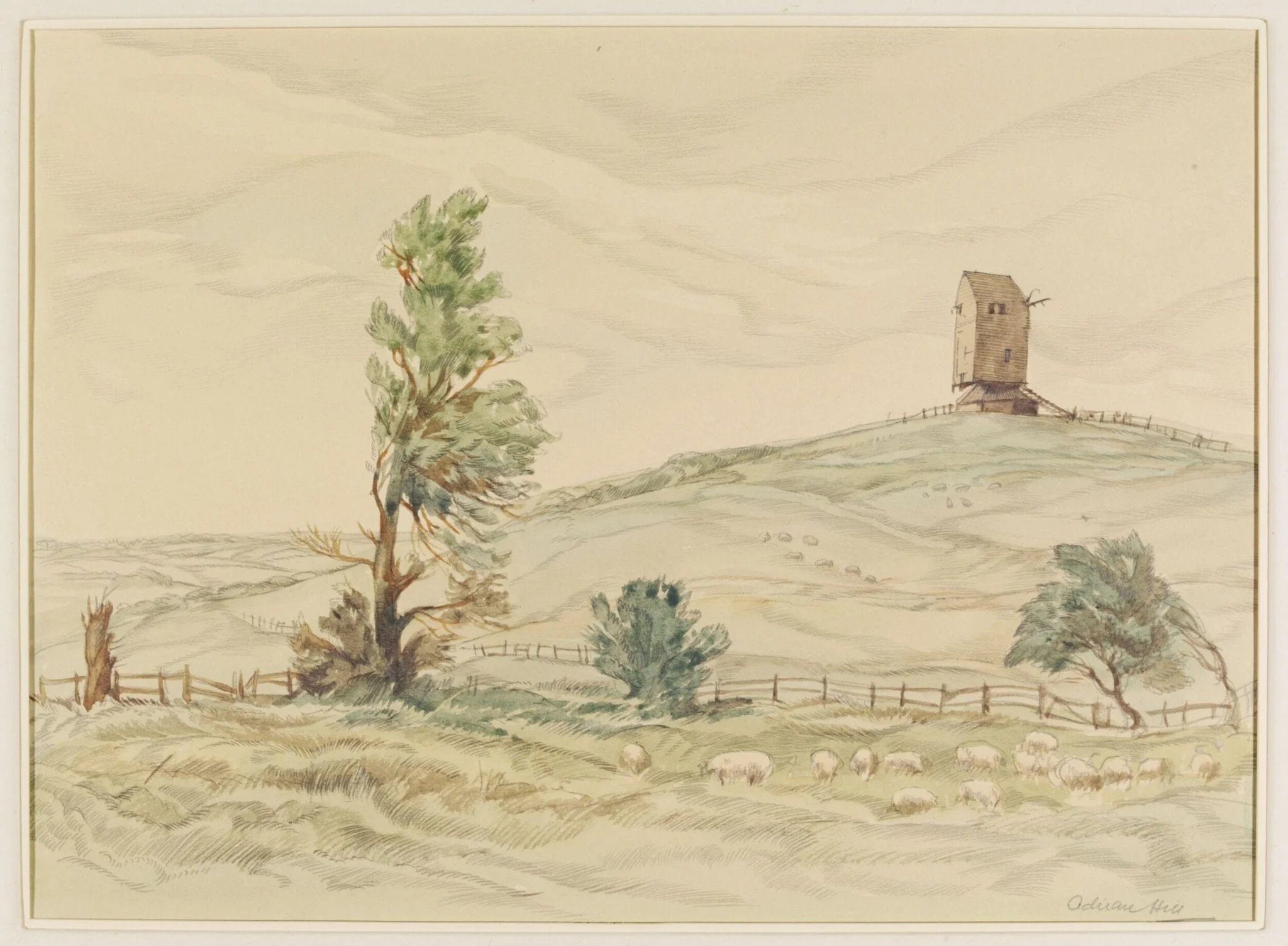 Brangwyn's Mill, Winchelsea, Sussex