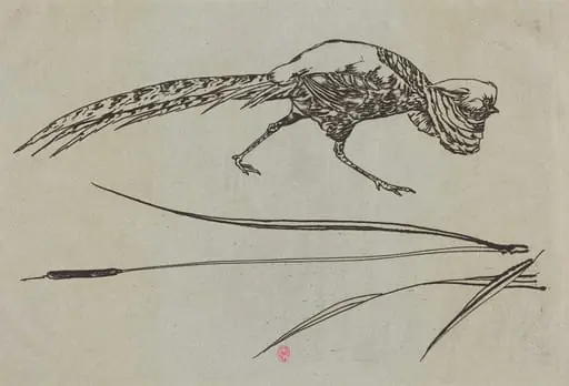 Pheasant and Cattail (Faisan et roseau)