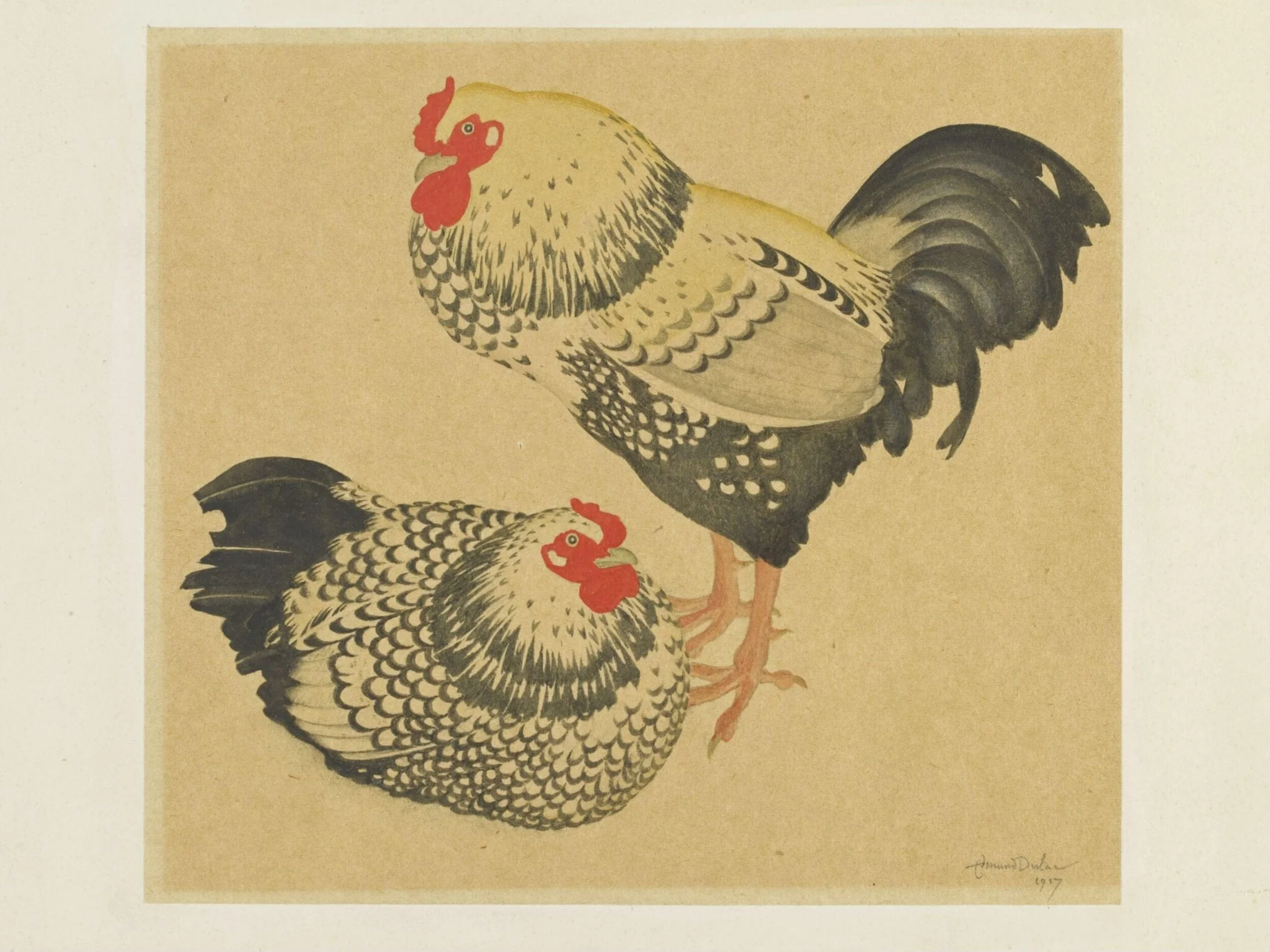 Two chickens, by Edmund Dulac, watercolor, 1917