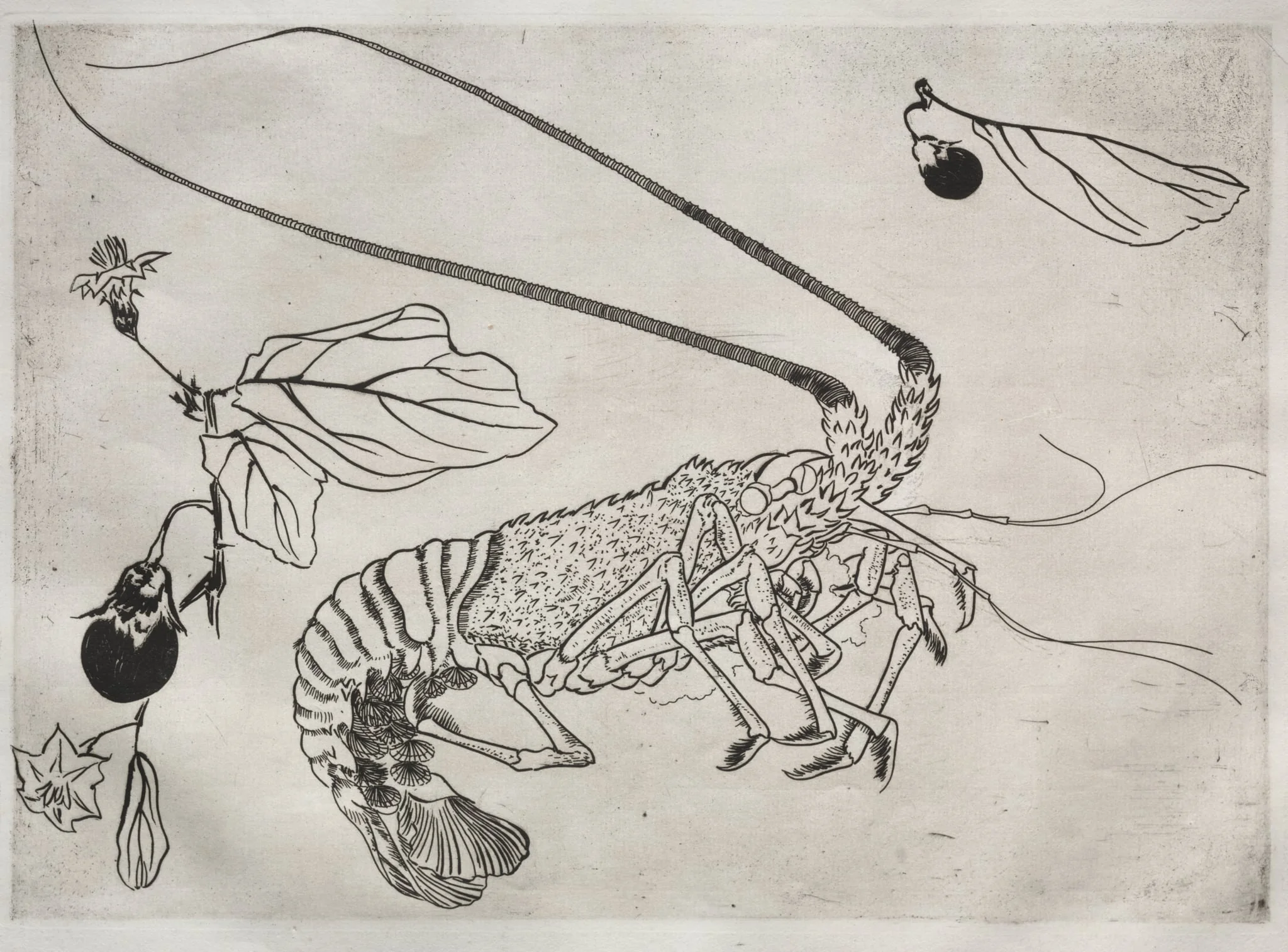 Dinner Service (Rousseau service): Large lobster with raised antenna (no. 21), by Félix Bracquemond, 1866