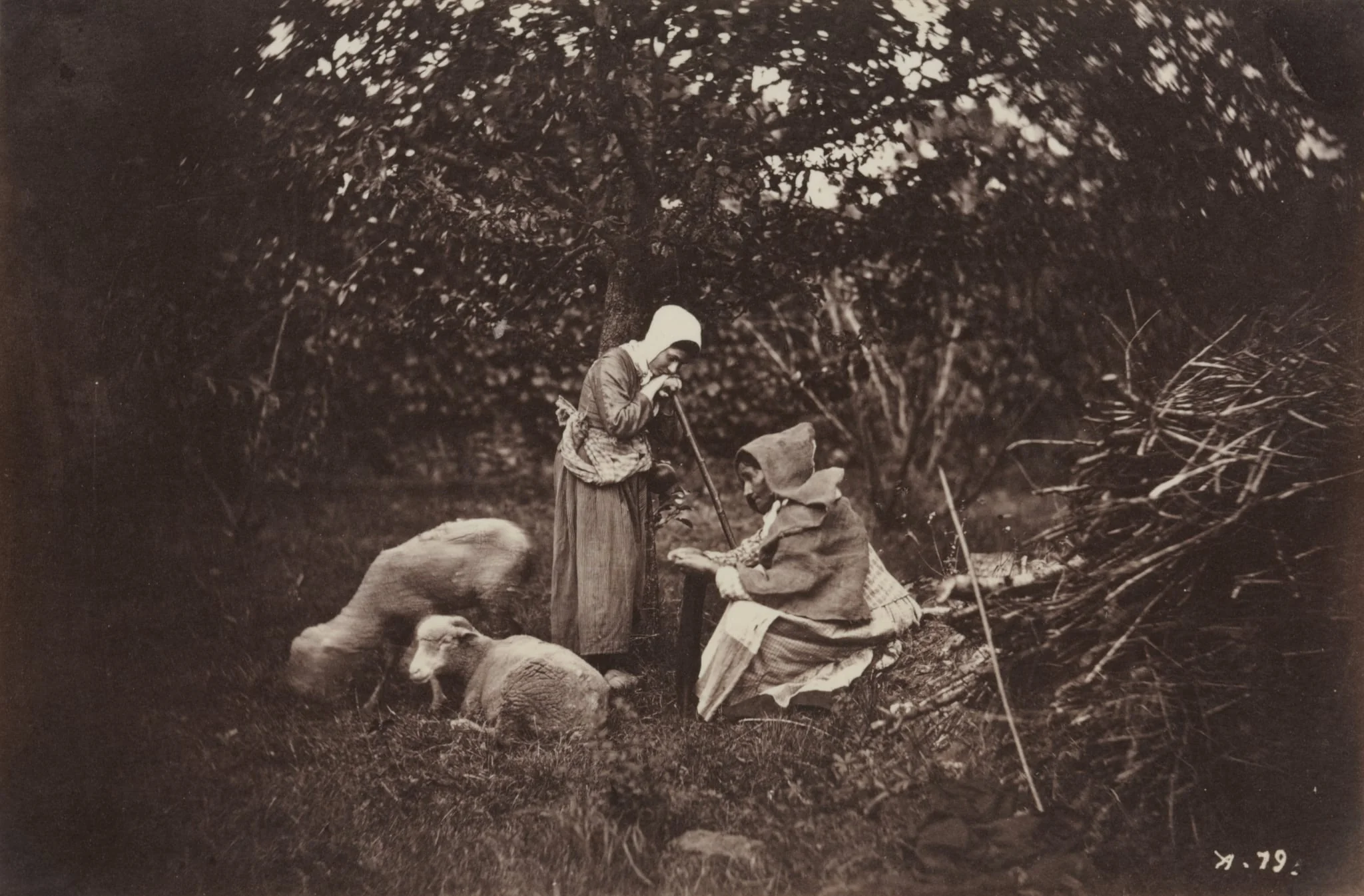 Two Shepherdesses Resting with Two Sheep, by Auguste Giraudon's Artist, 1870