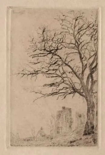 Acacia