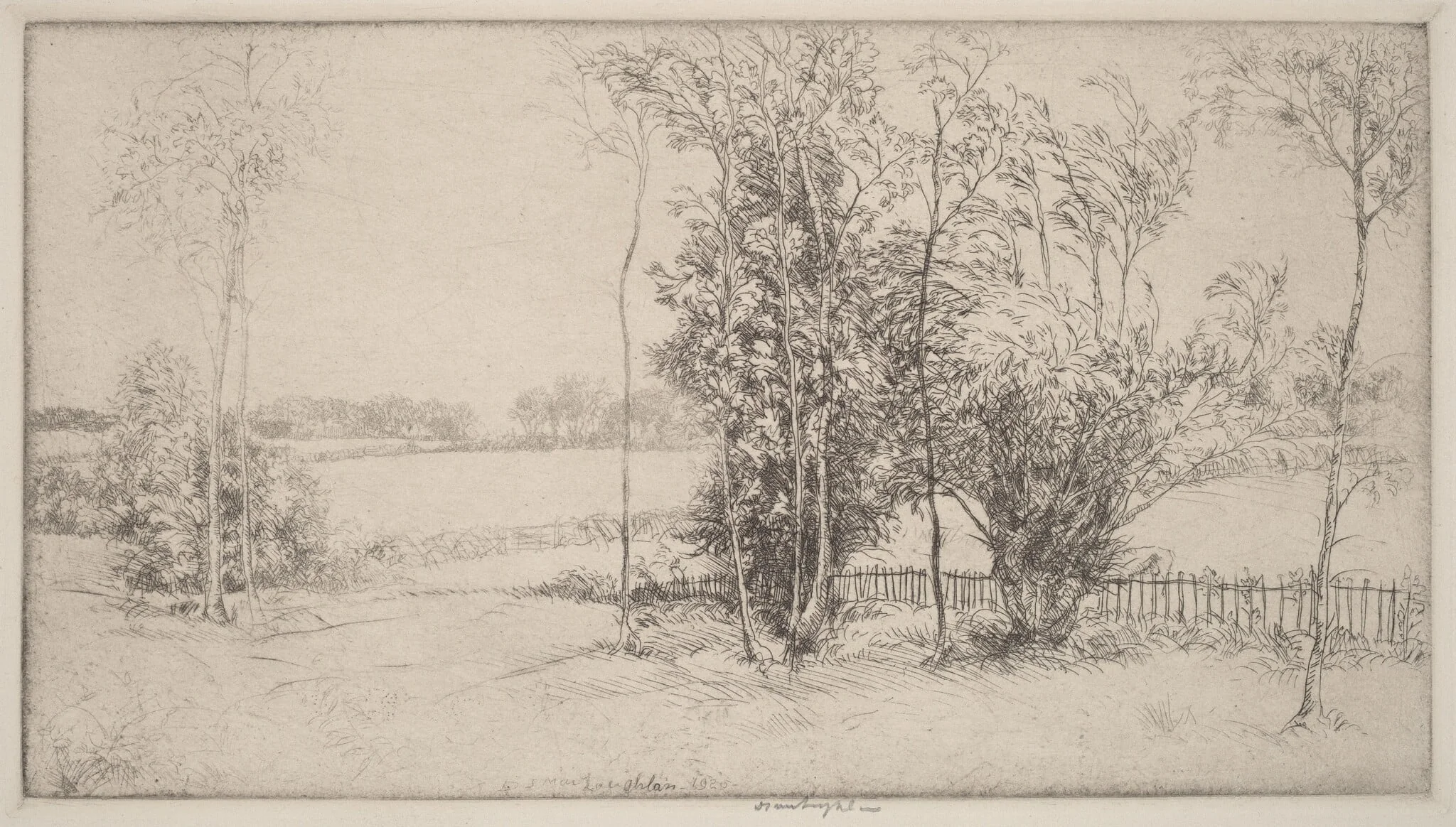 Sussex Landscape, by Donald Shaw MacLaughlan, ink, 1920