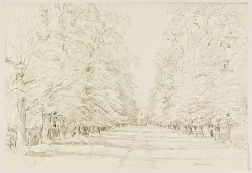 Ham House; the Avenue from the gate in Sandy Lane