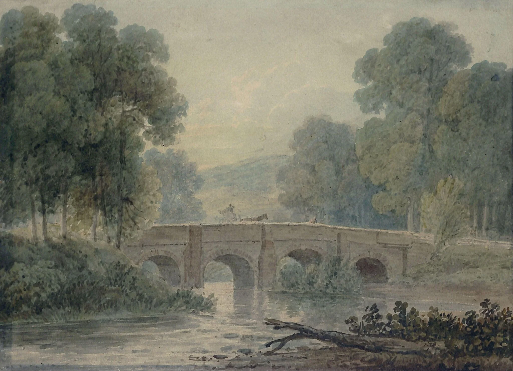 Woody landscape