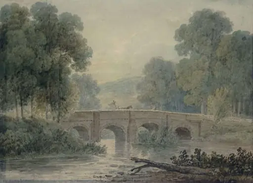 Woody landscape