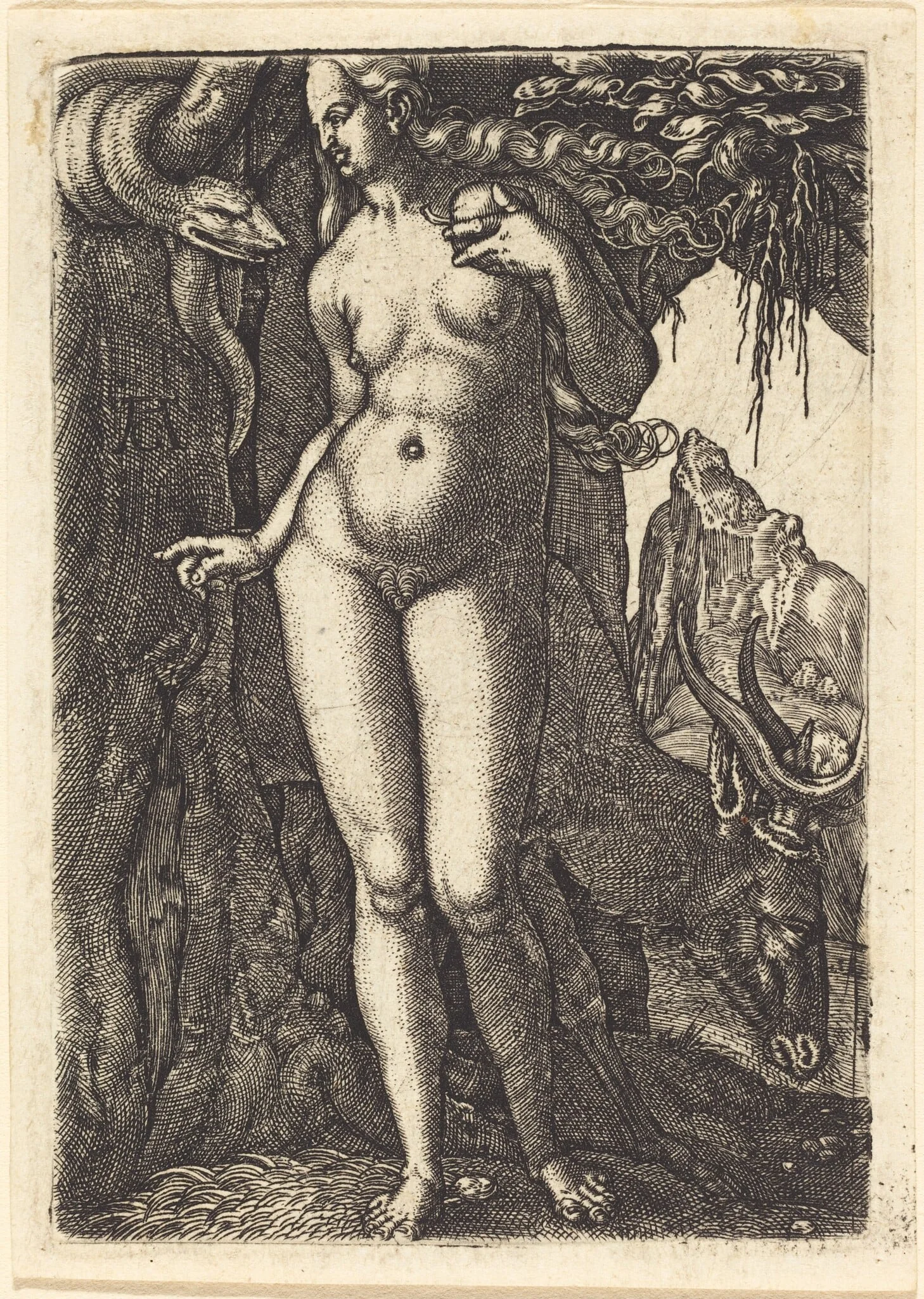 Eve